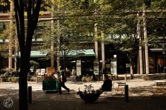 丸の内仲通り　４