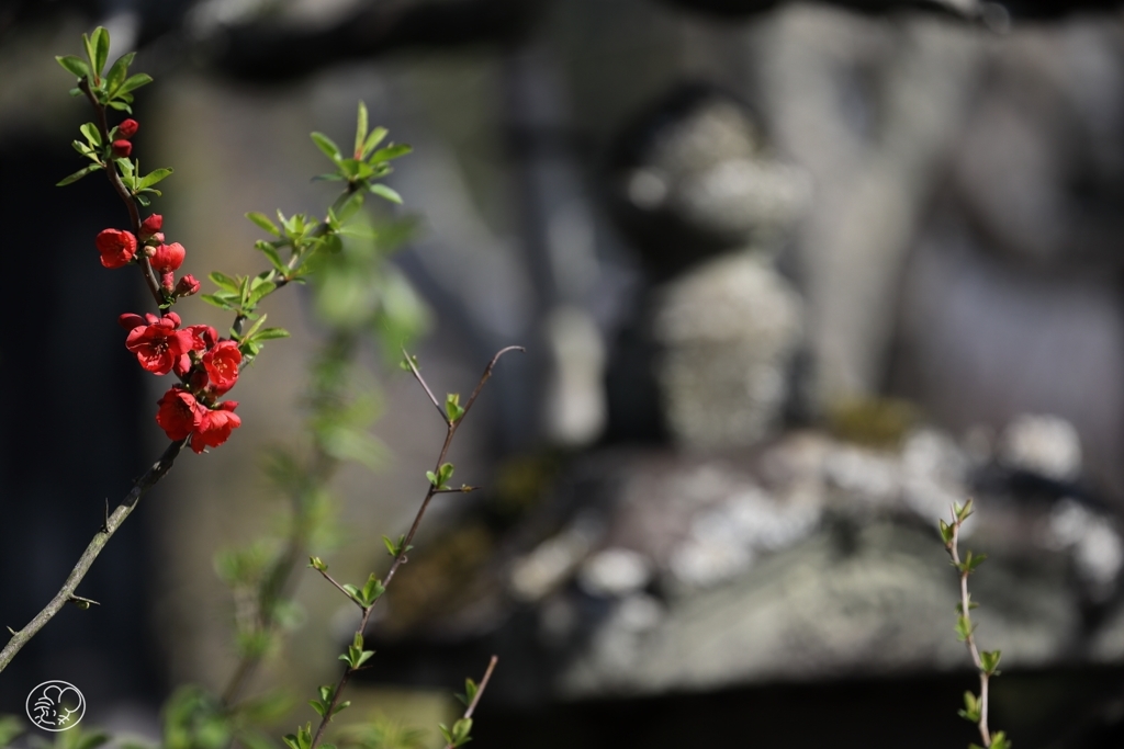 東慶寺内