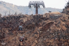 箱根大涌谷　６