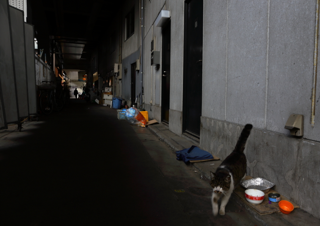 神田鍛冶町高架下