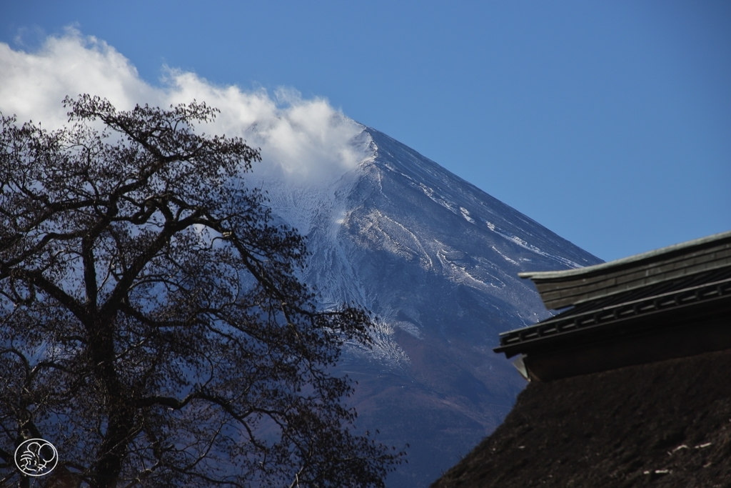 雲なびく富士山　２