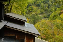 山峡の宿