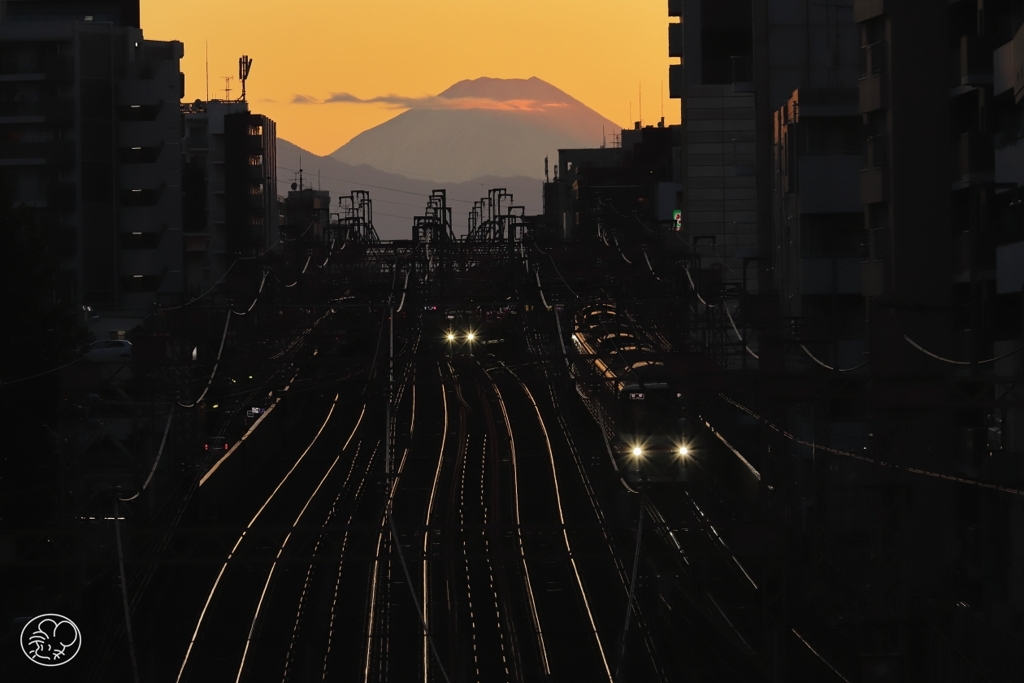 西からの上り電車　２