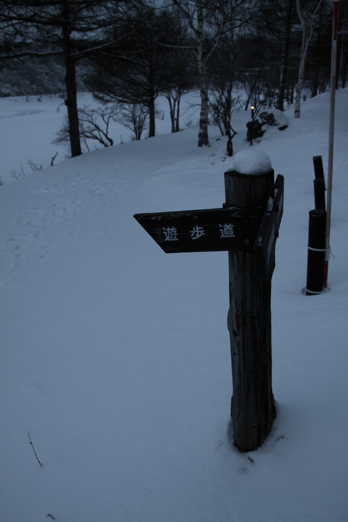 雪の散歩道