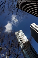 西新宿の空