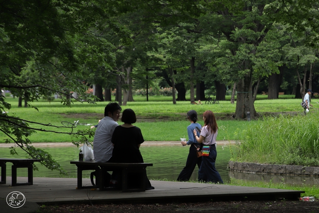 公園の木陰　１