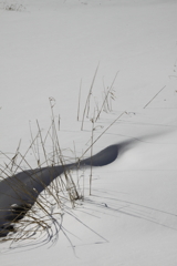 女神湖の雪