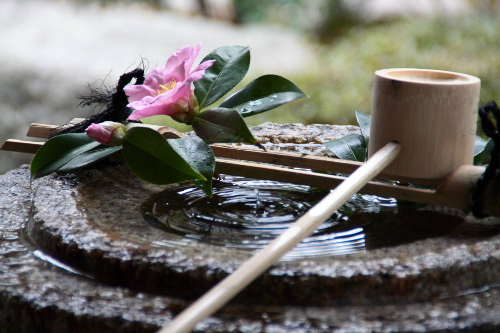 つくばいの波紋