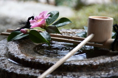 つくばいの波紋