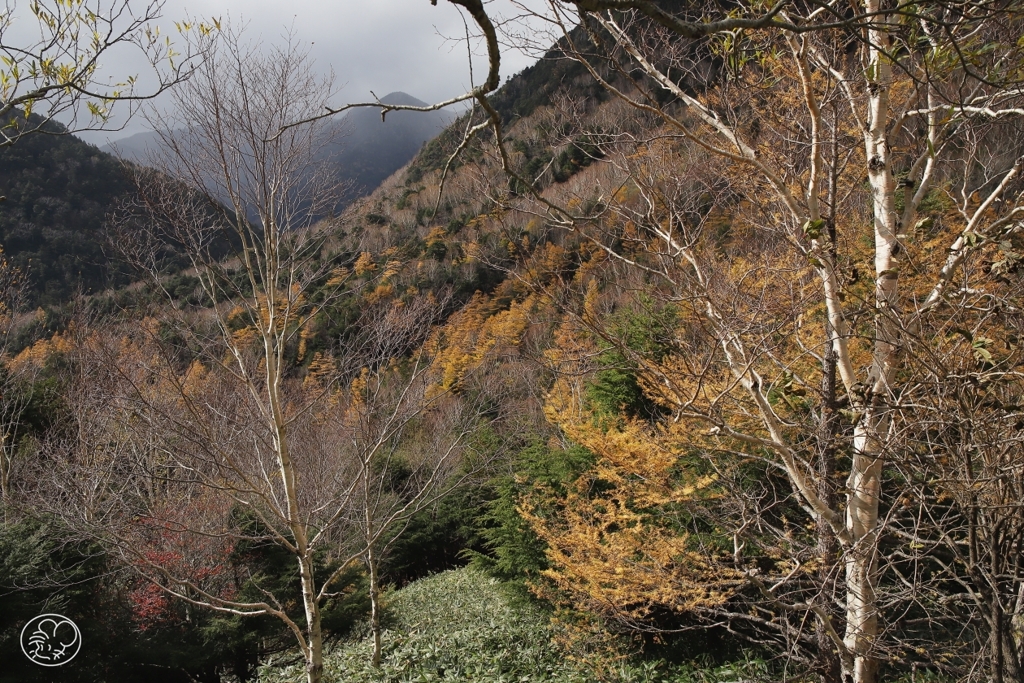 山王峠