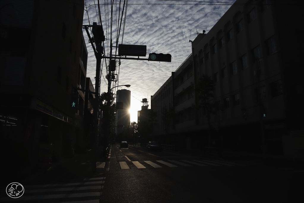 朝（１）