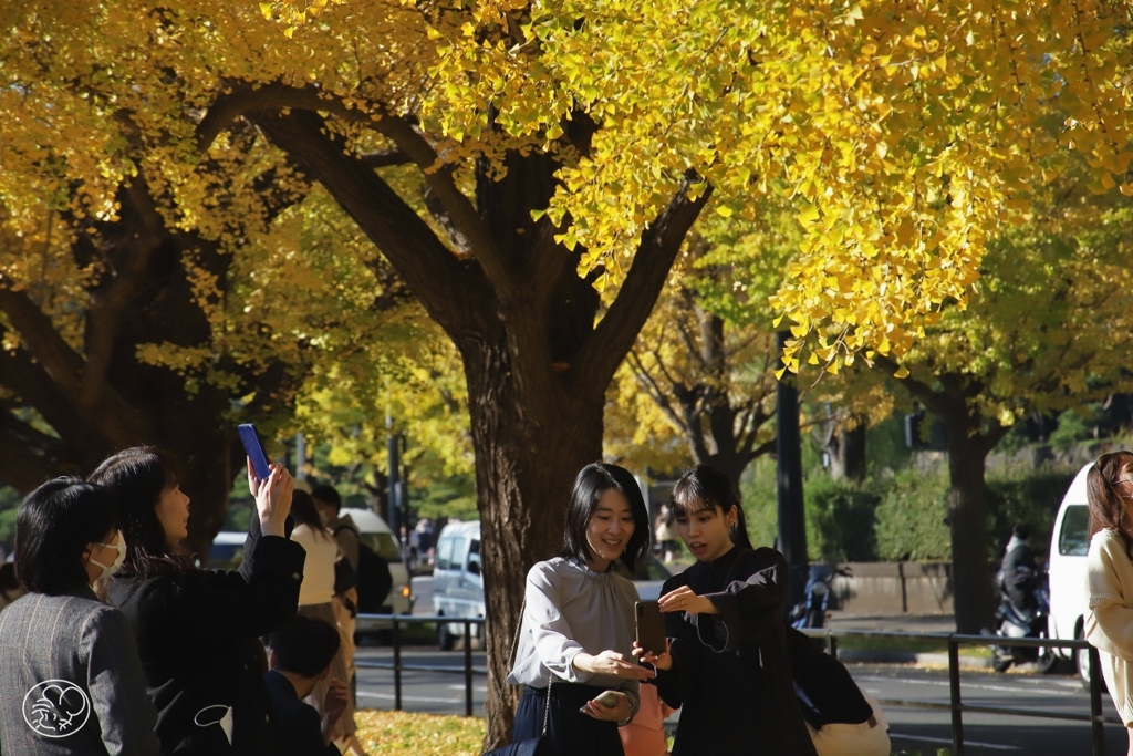 丸の内、行幸通り　４