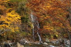 照葉峡の秋深まって