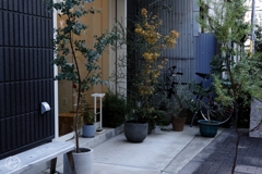 宇田川遊歩道　６
