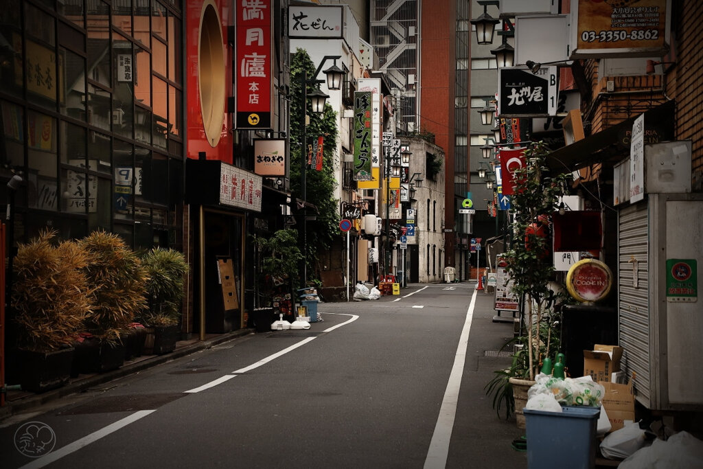 朝のスナップ　１９