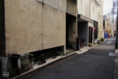 日本橋界隈　６