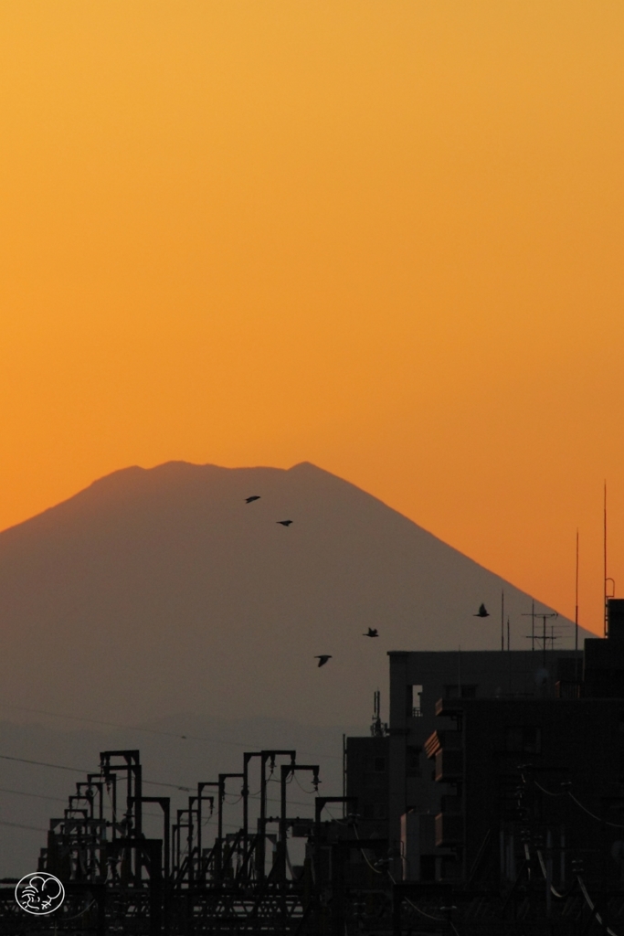 夕空富士