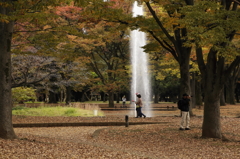 秋噴水