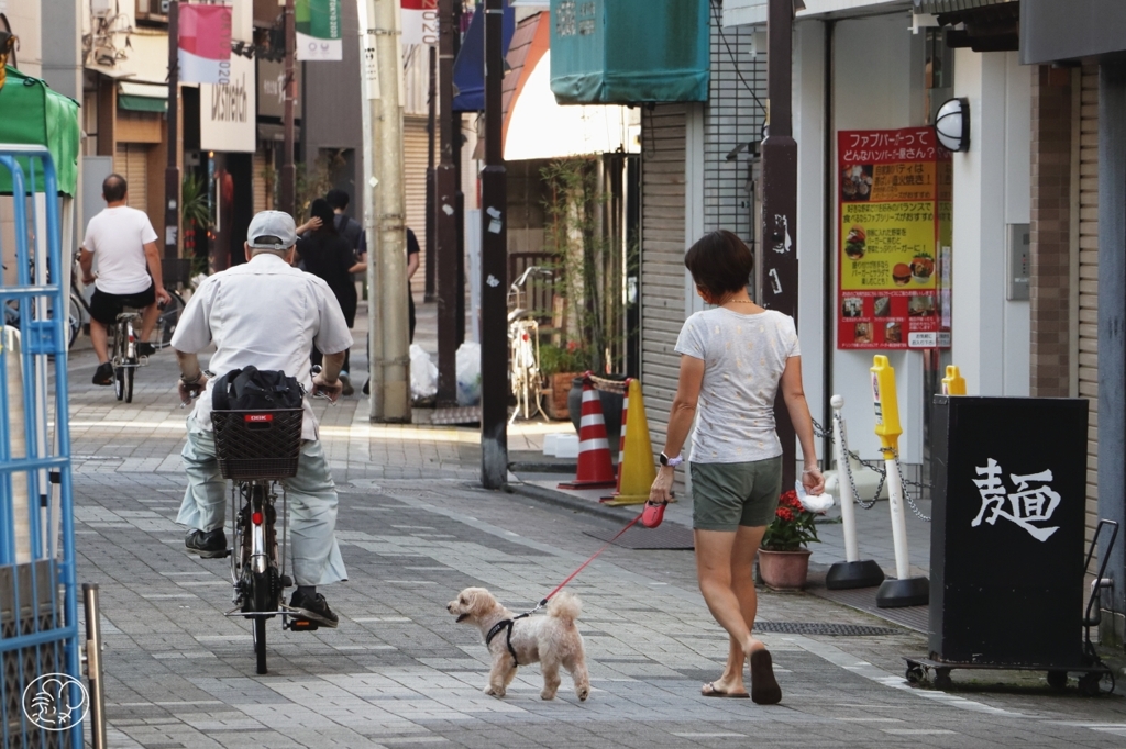 目覚める町 －２