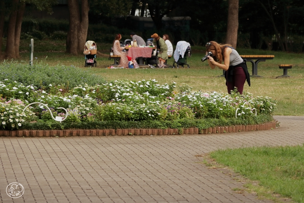 花撮る人