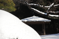雪化粧 －３