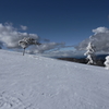 雪原の風やむ