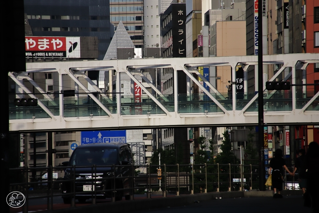 朝のスナップ　１３