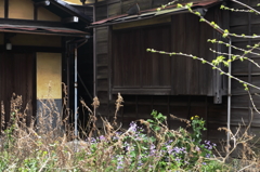 去った後のむなしさ