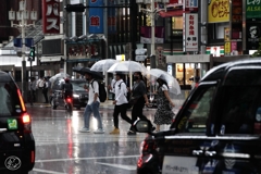 何も朝っぱらからこんなに降らなくたっていいんじゃない？