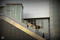 六本木ヒルズ点描