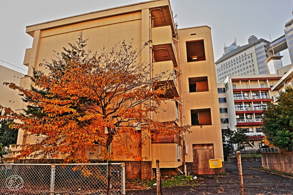 廃墟 －１