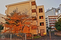 廃墟 －１