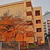 廃墟 －１
