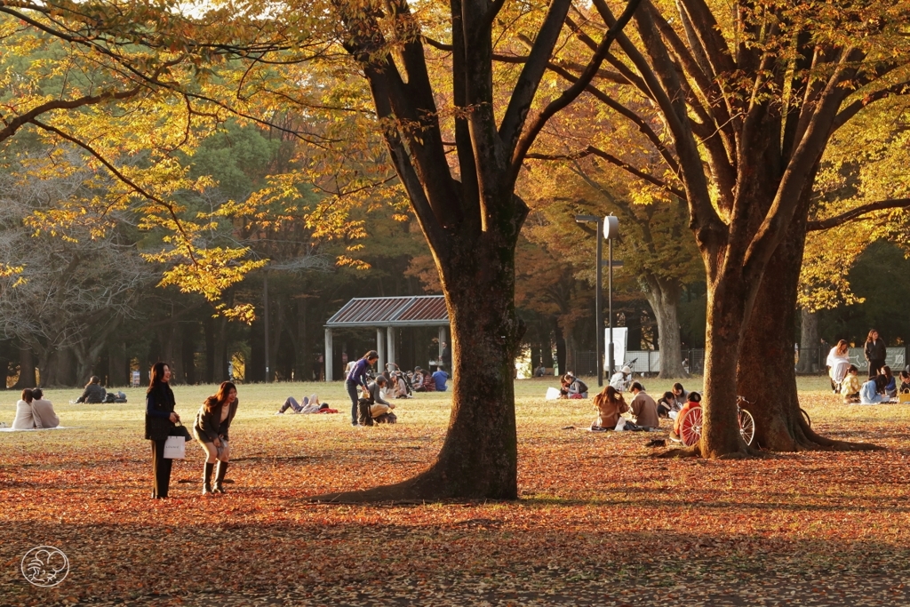 公園の秋　７