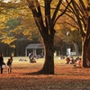 公園の秋　７