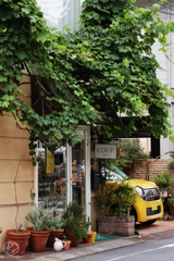 神宮前界隈 －１