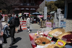 お花見は空振りでも