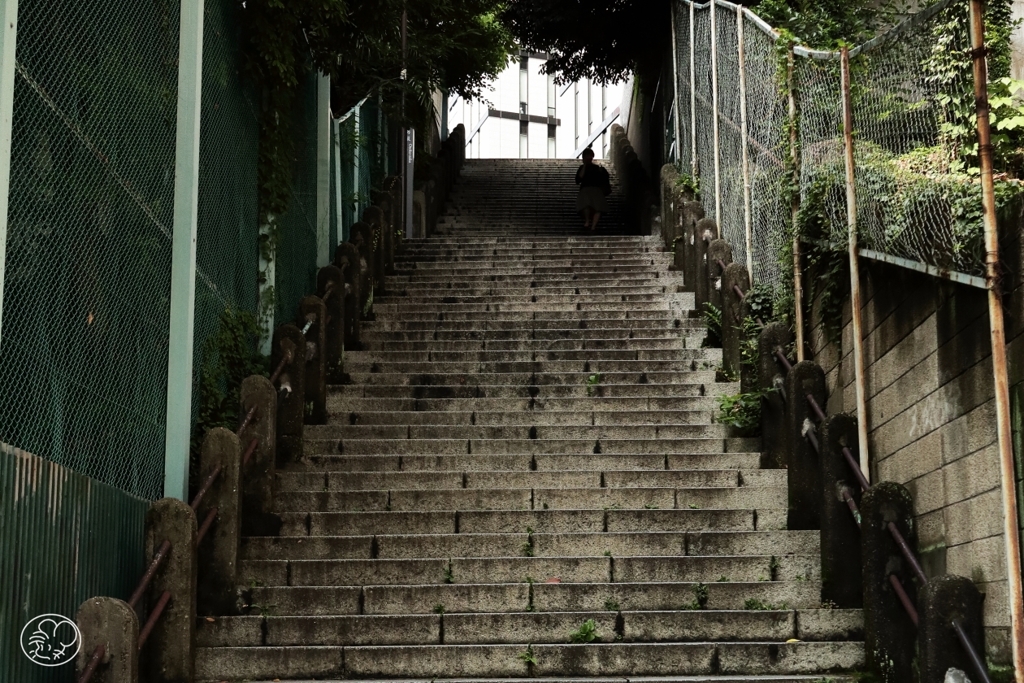 暗がりのある坂