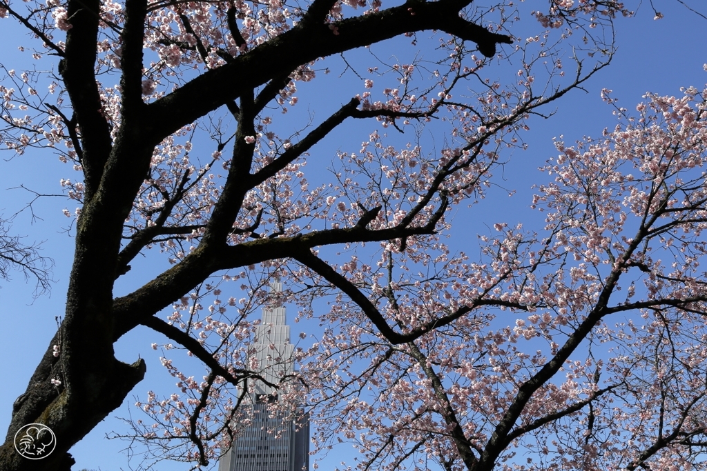 春空