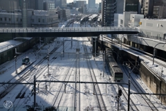 雪の朝