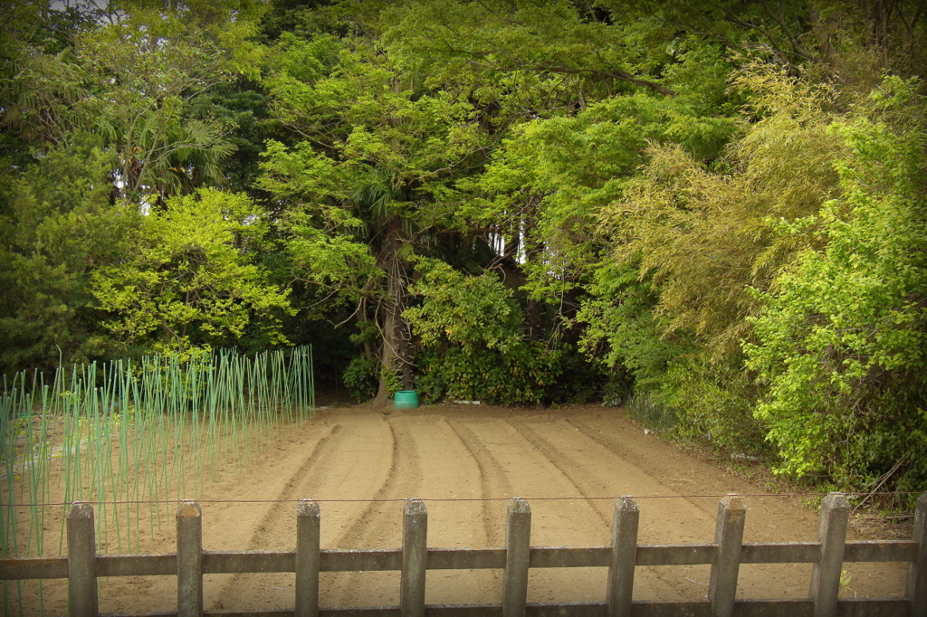駅前農地