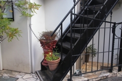 神宮前界隈　５