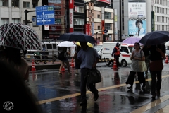 やまない雨