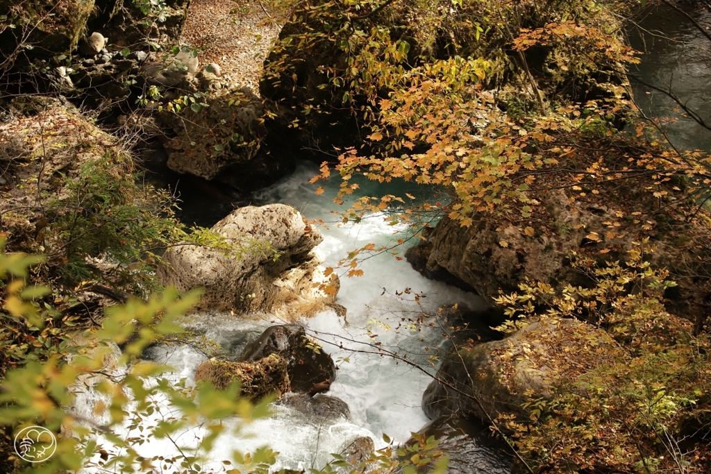 冠水渓