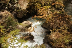 冠水渓