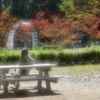 冬日射しの公園で