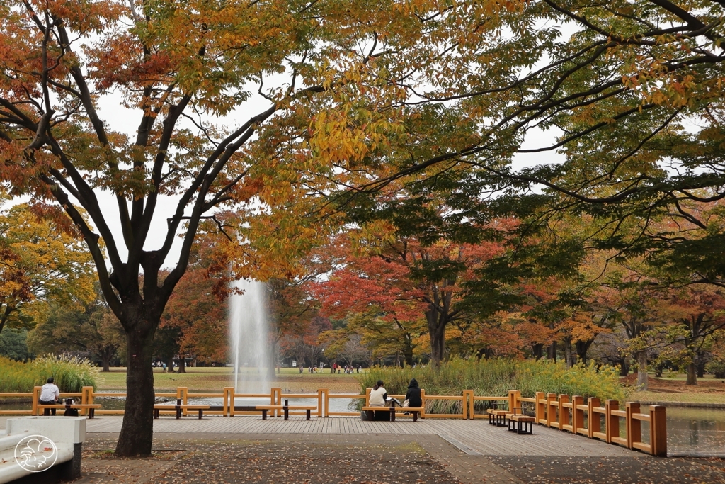公園の秋　１