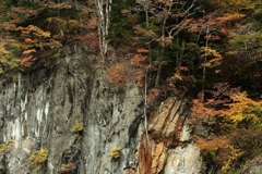 国道１５８号線 －４