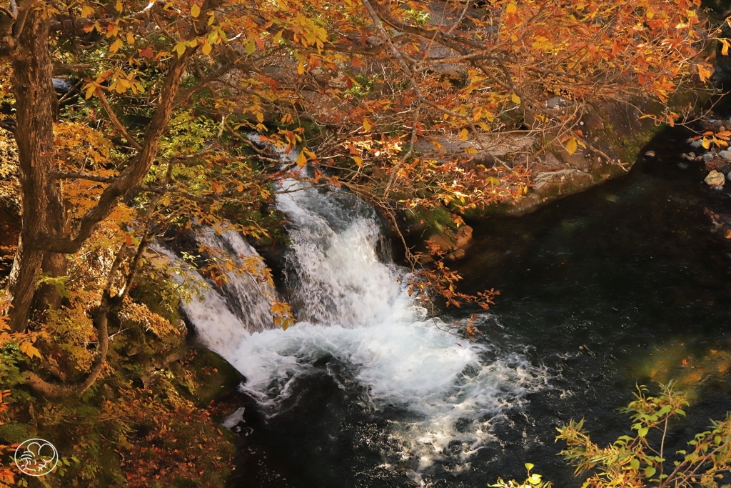 翡翠の滝　２