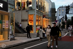 日暮れの散歩道